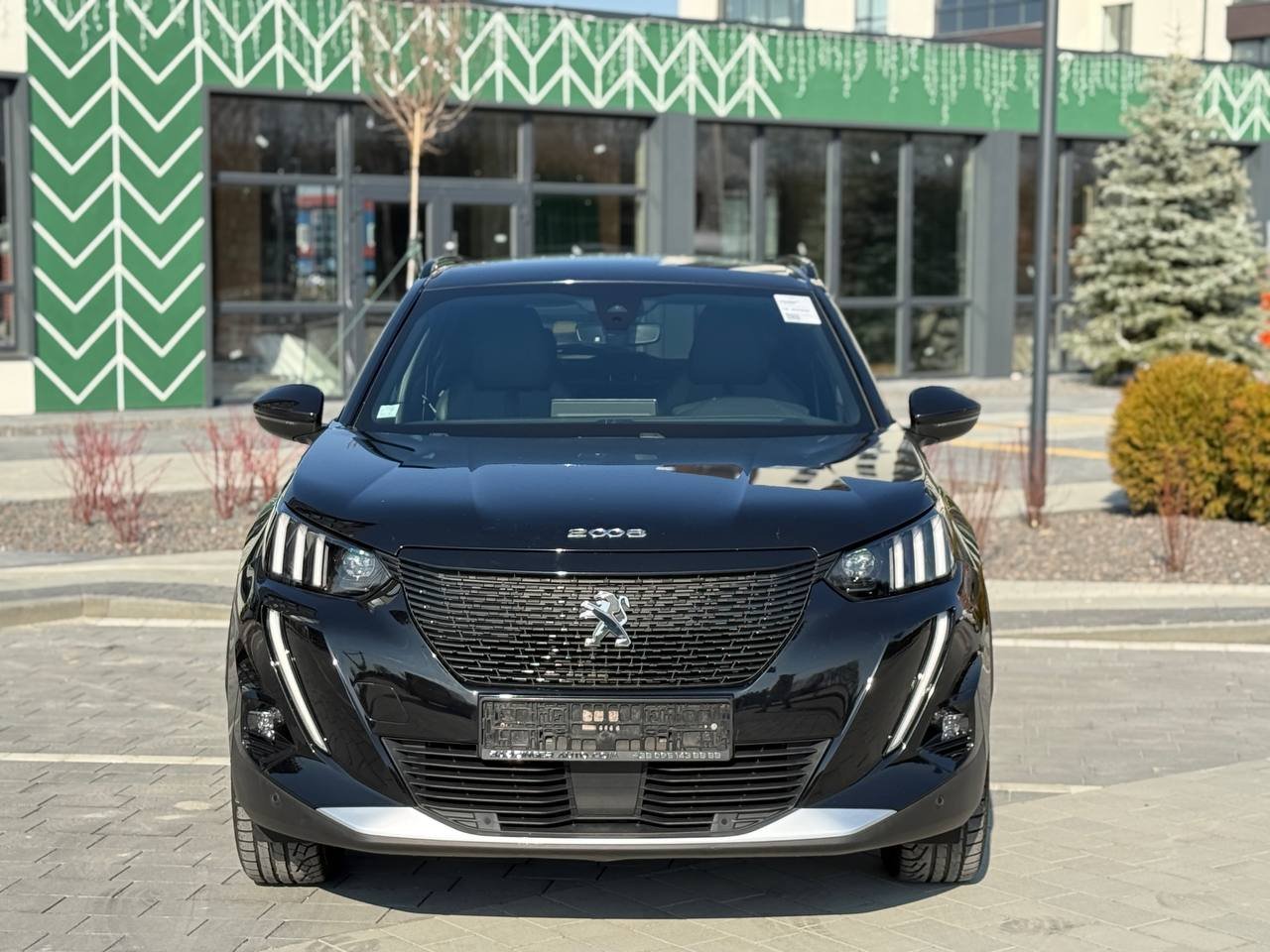 Фото - Peugeot e-2008 #2