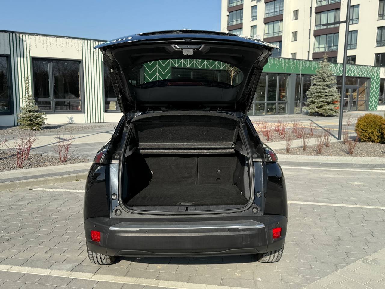 Фото - Peugeot e-2008 #12