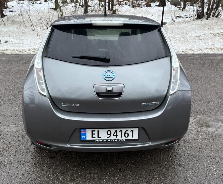 Фото - Nissan Leaf #2