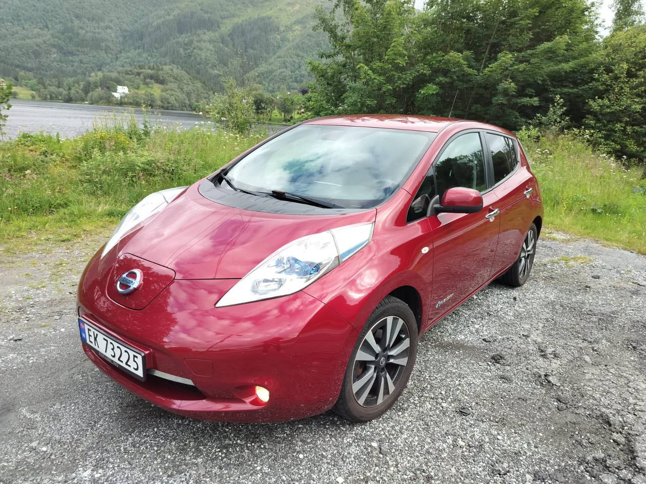 Фото - Nissan Leaf #2