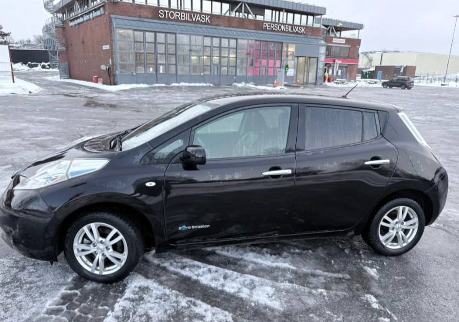 Фото - Nissan Leaf #3