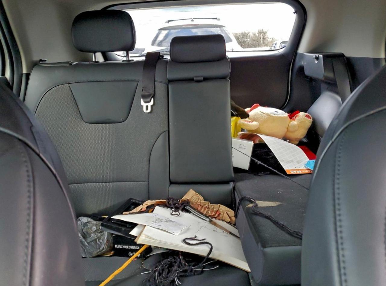 Фото - Kia Niro #10