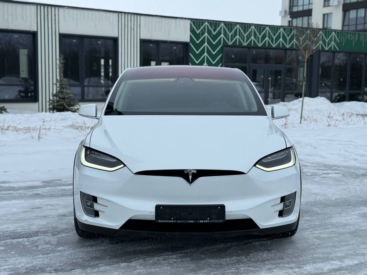 Фото - Tesla Model x #2