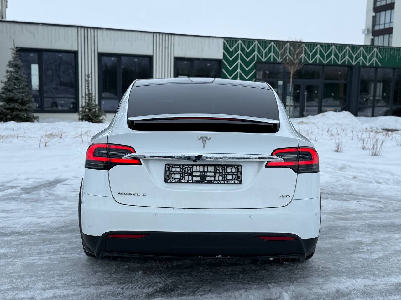 Фото - Tesla Model x #5