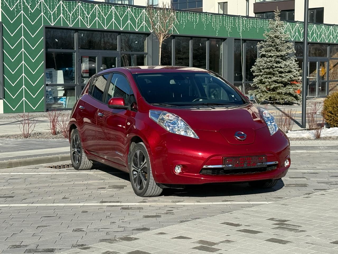 Фото - Nissan Leaf #2