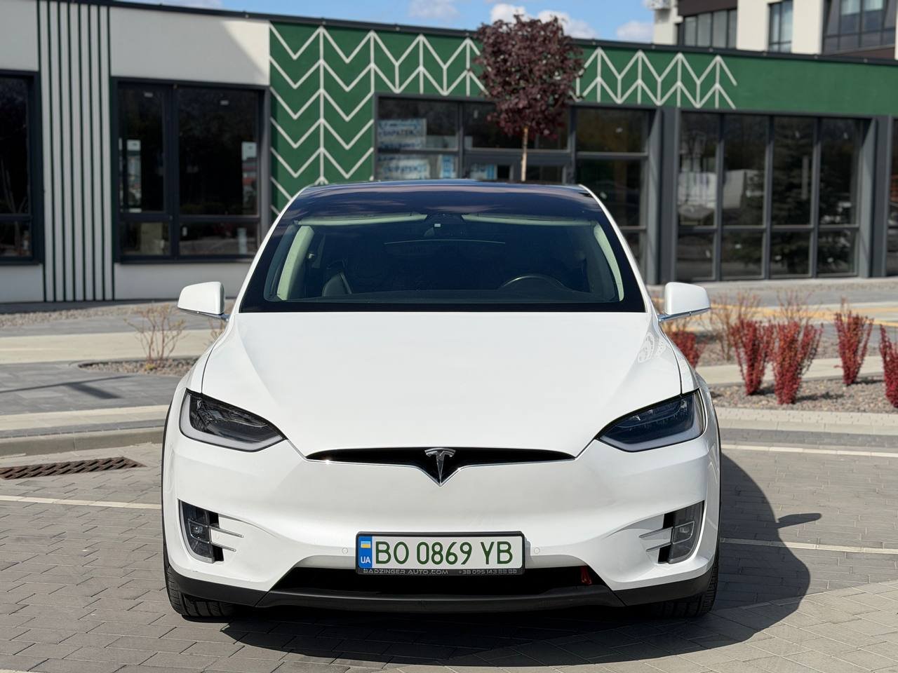 Фото - Tesla Model x #2
