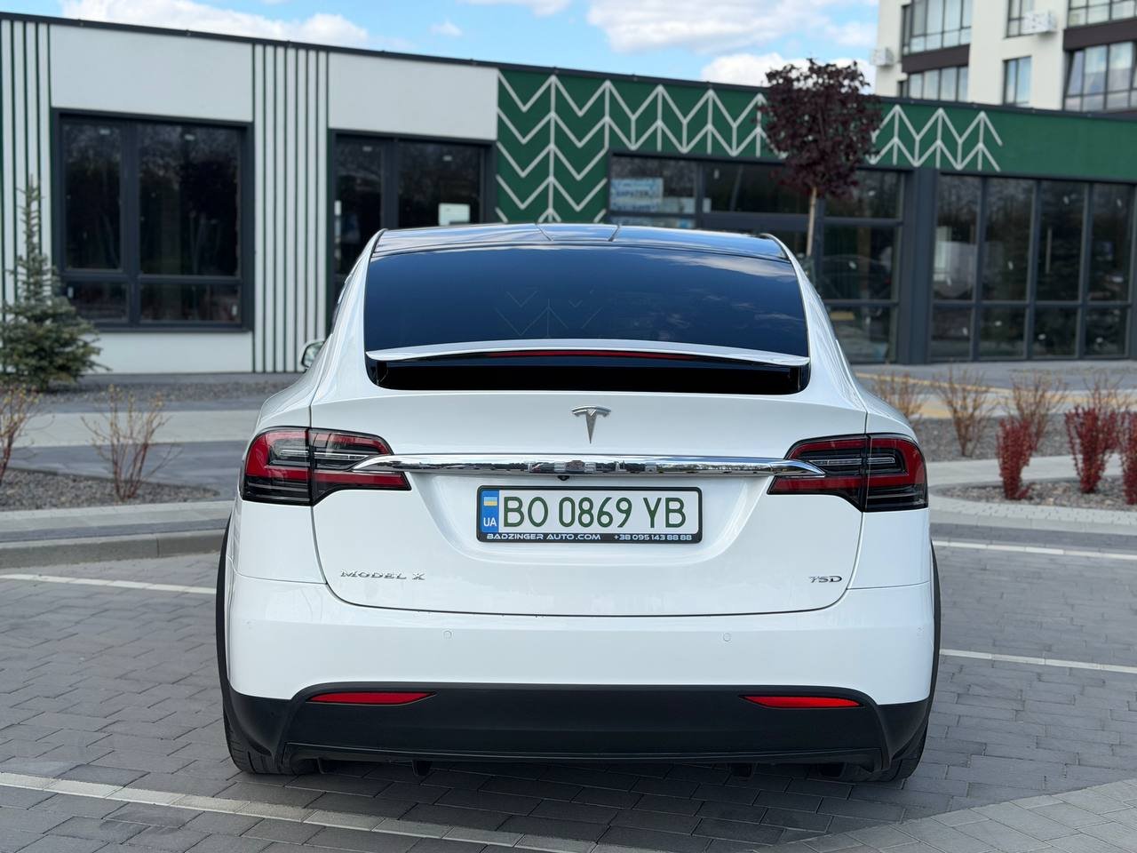 Фото - Tesla Model x #5