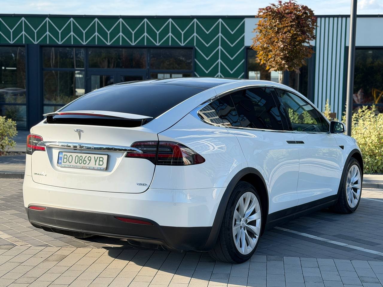 Фото - Tesla Model X #3