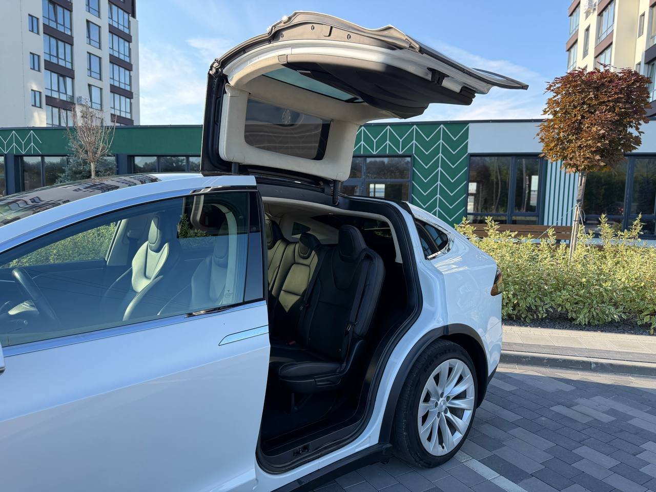 Фото - Tesla Model X #5