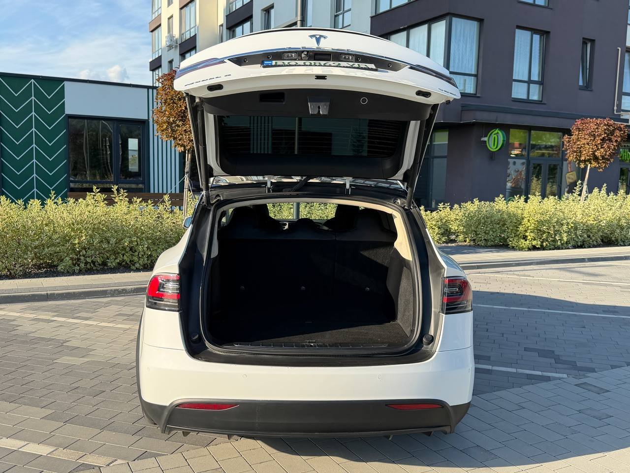 Фото - Tesla Model X #6
