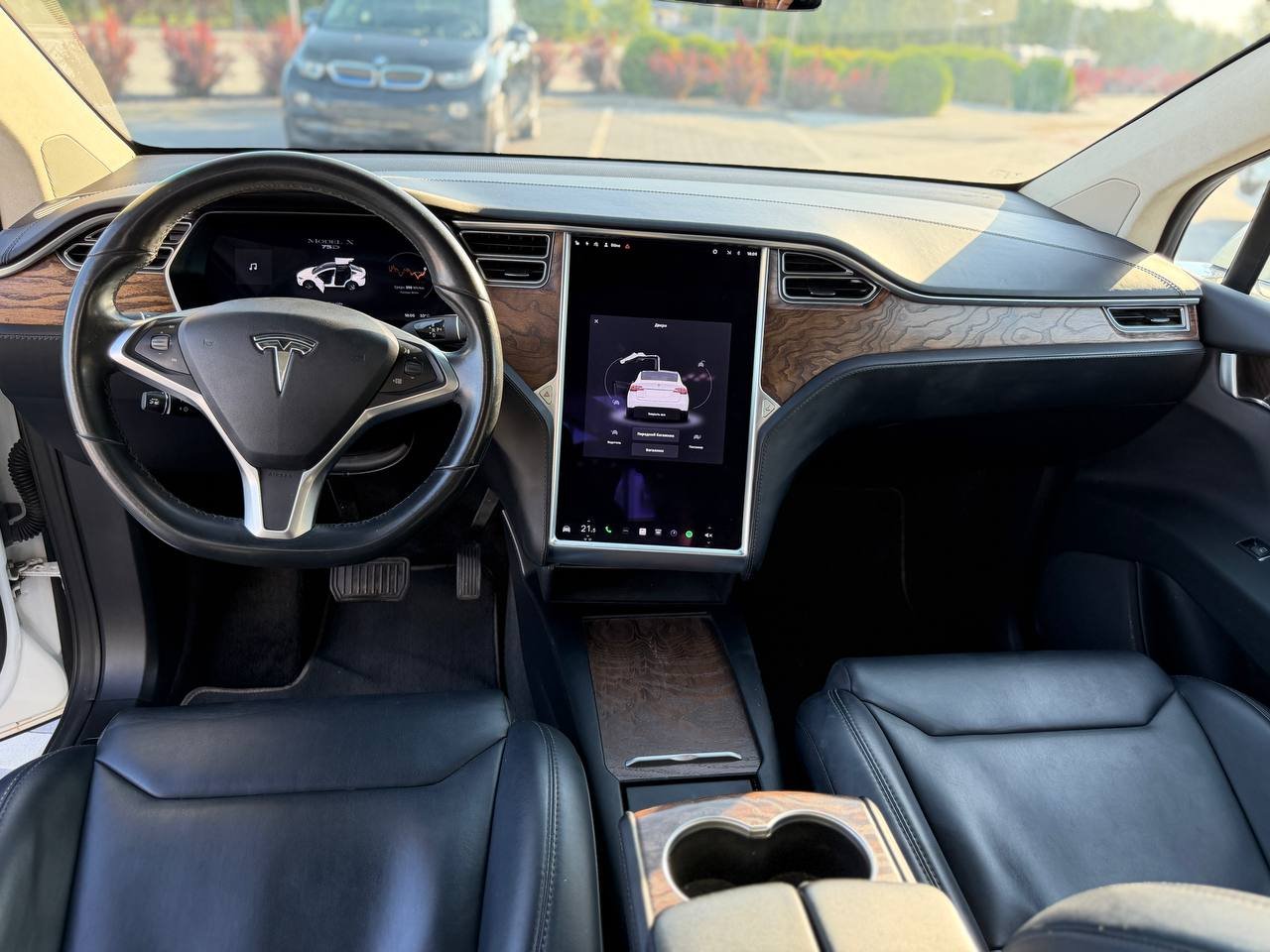 Фото - Tesla Model X #7