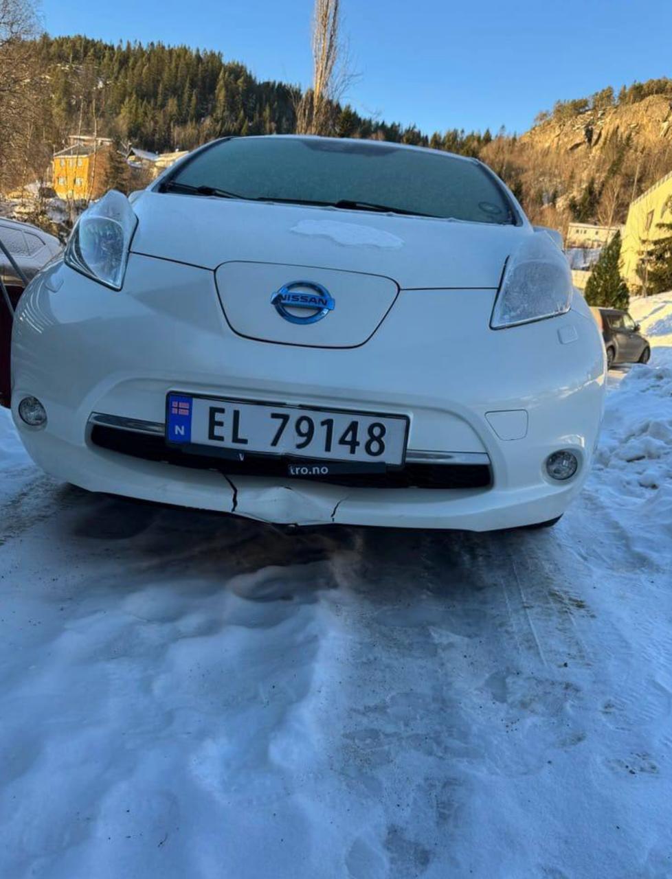 Фото - Nissan Leaf #2