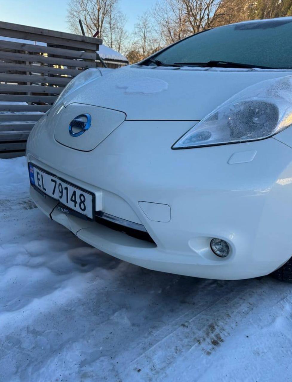 Фото - Nissan Leaf #3