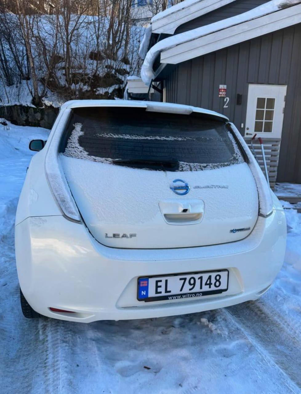 Фото - Nissan Leaf #4