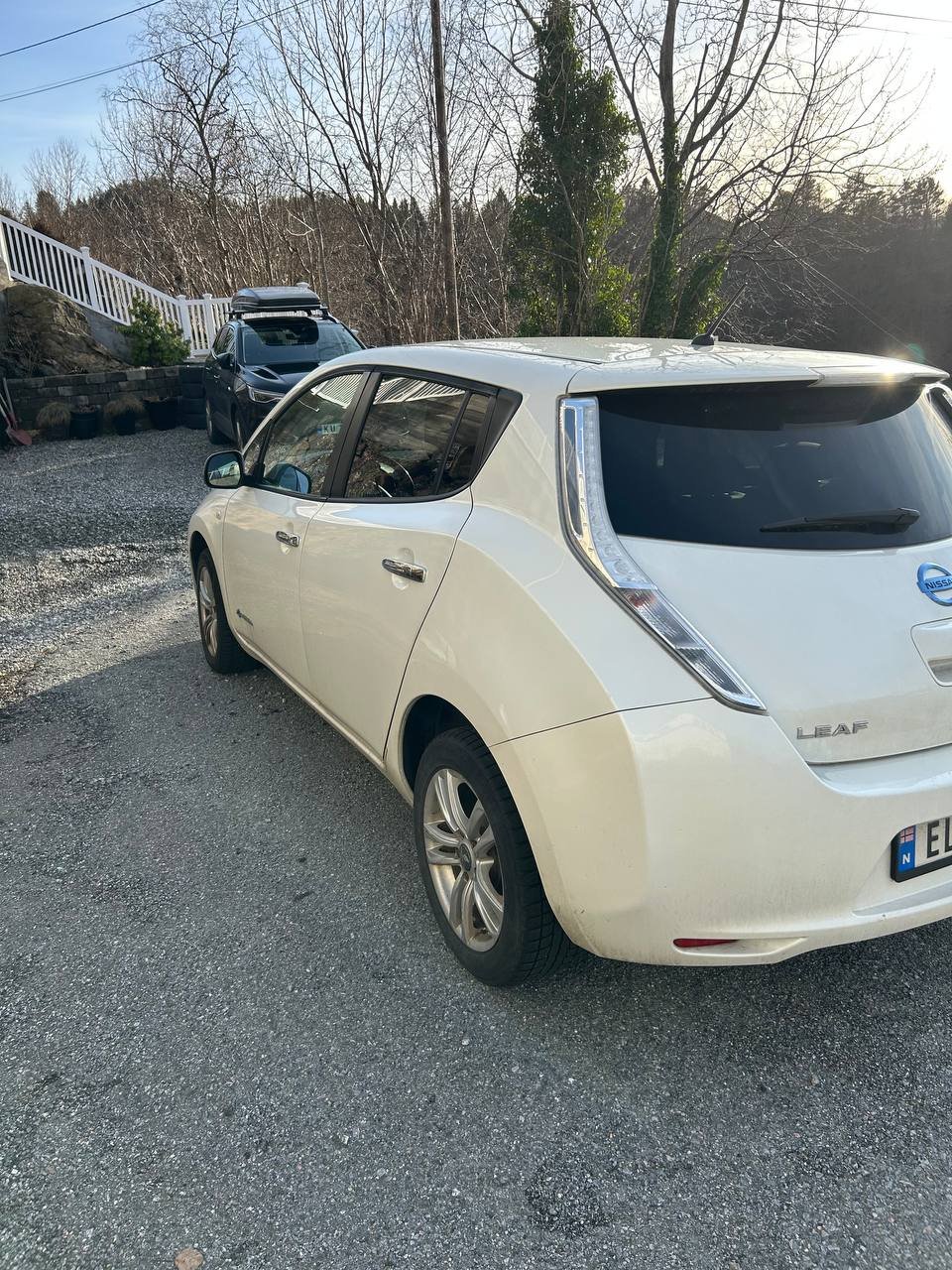 Фото - Nissan Leaf #3