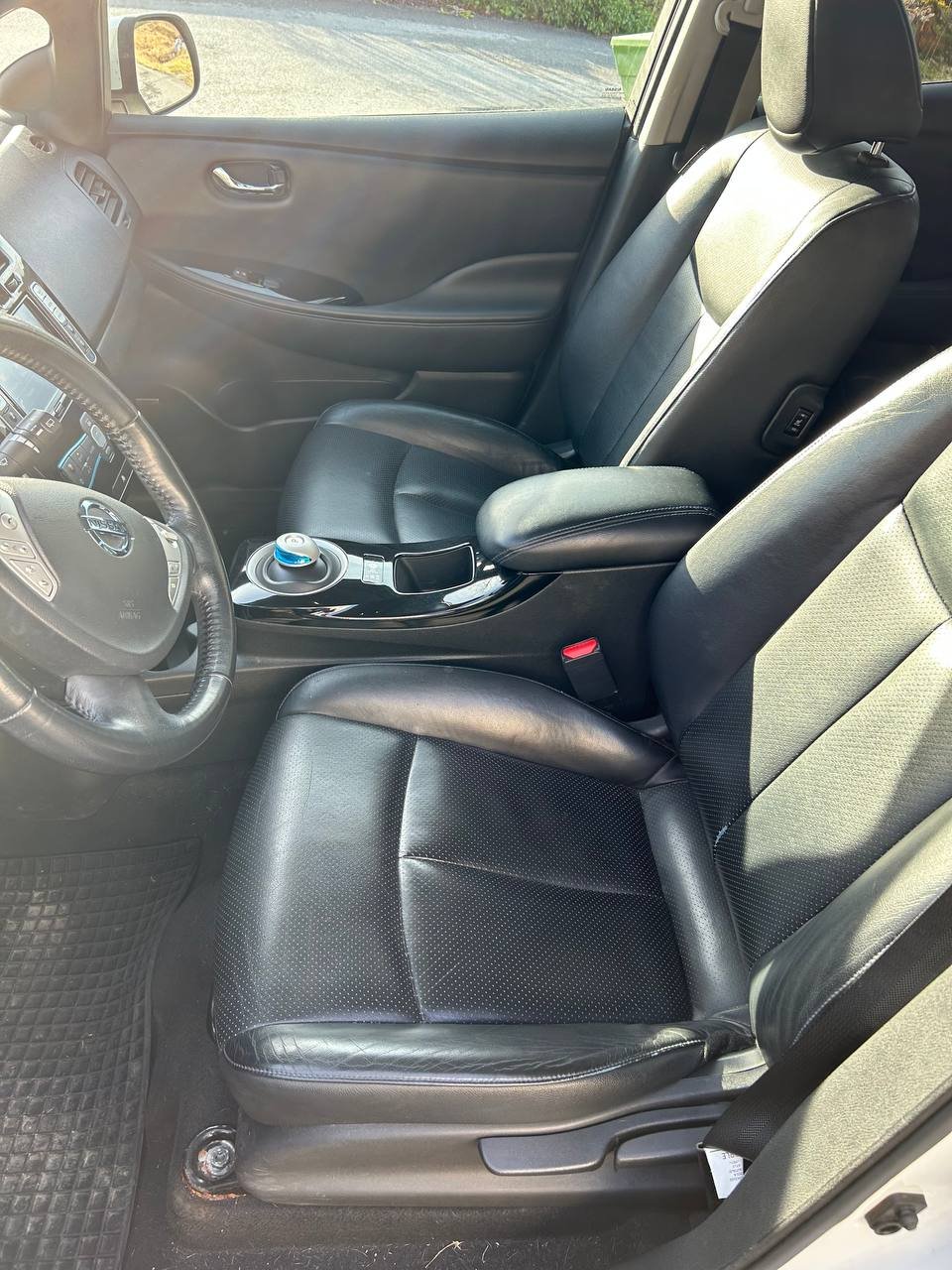 Фото - Nissan Leaf #4