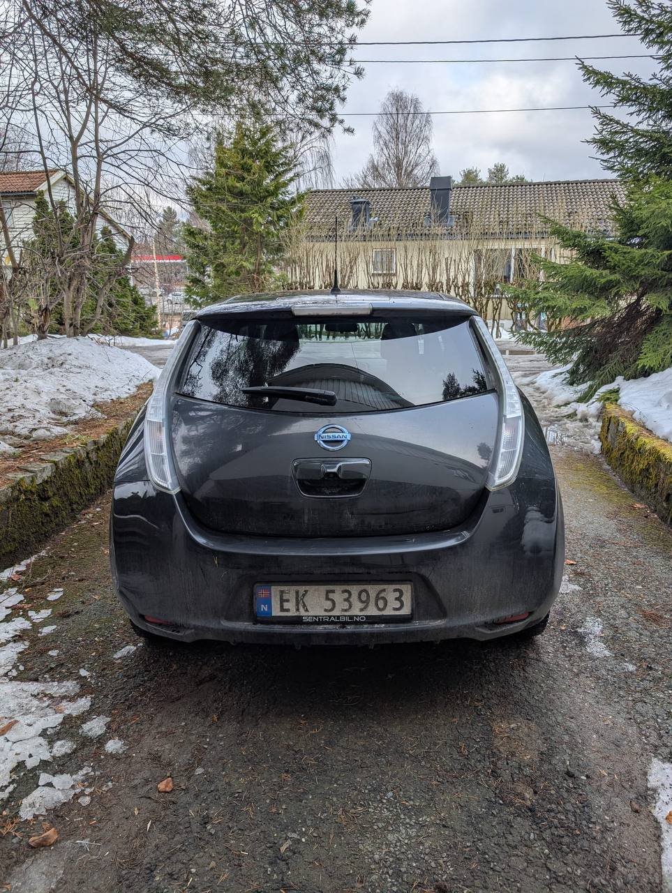 Фото - Nissan Leaf #4