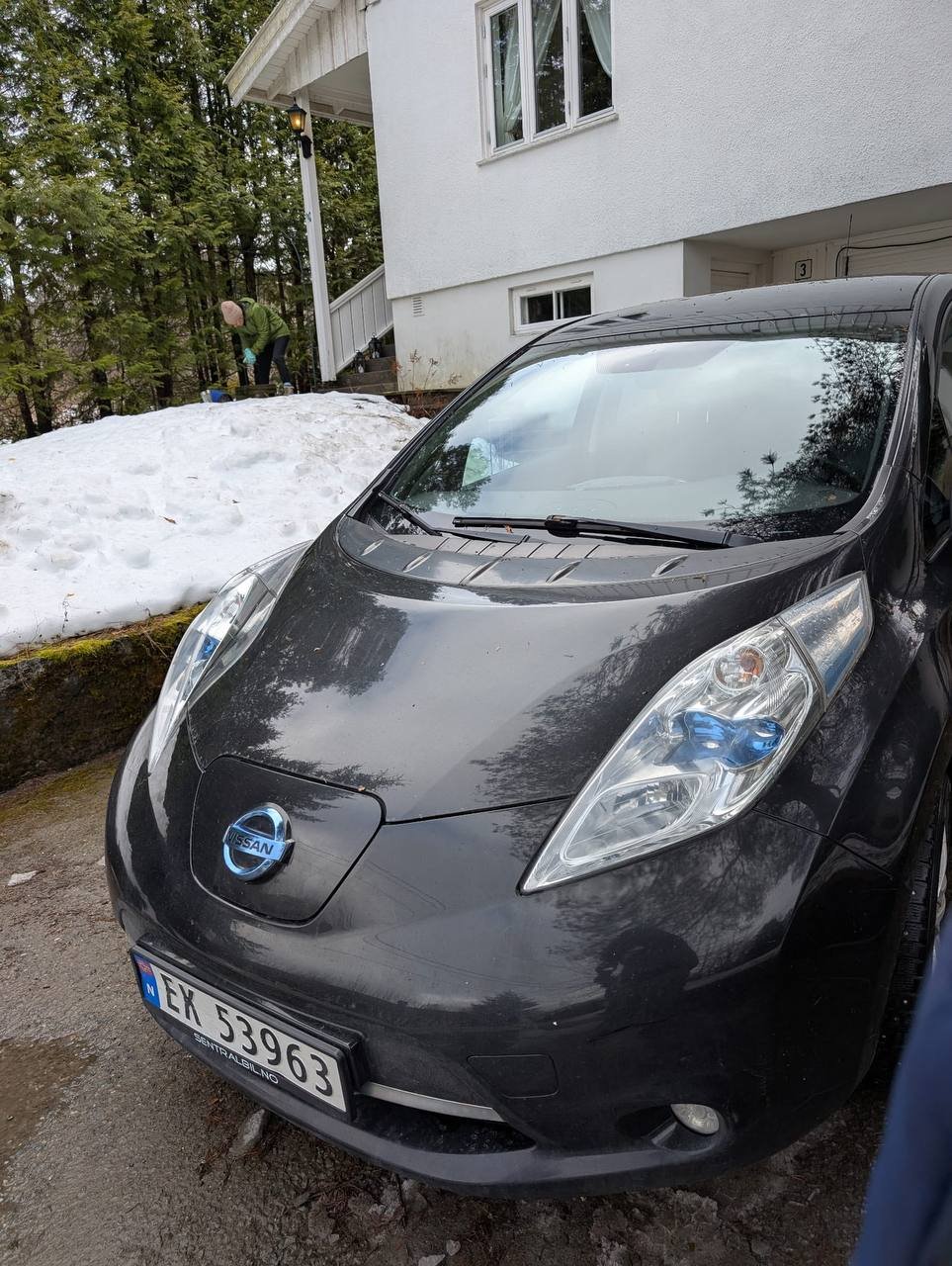 Фото - Nissan Leaf #2