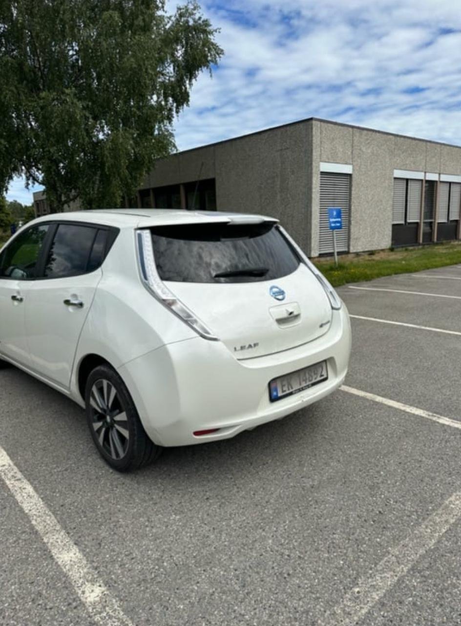 Фото - Nissan Leaf #3