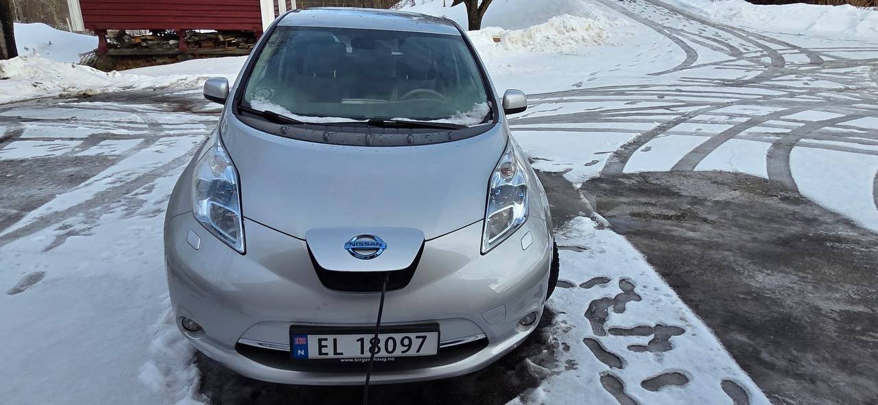 Фото - Nissan Leaf #5
