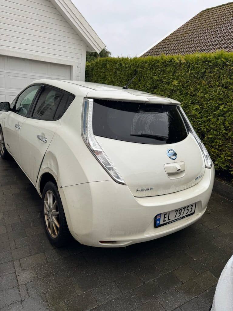 Фото - Nissan Leaf #2