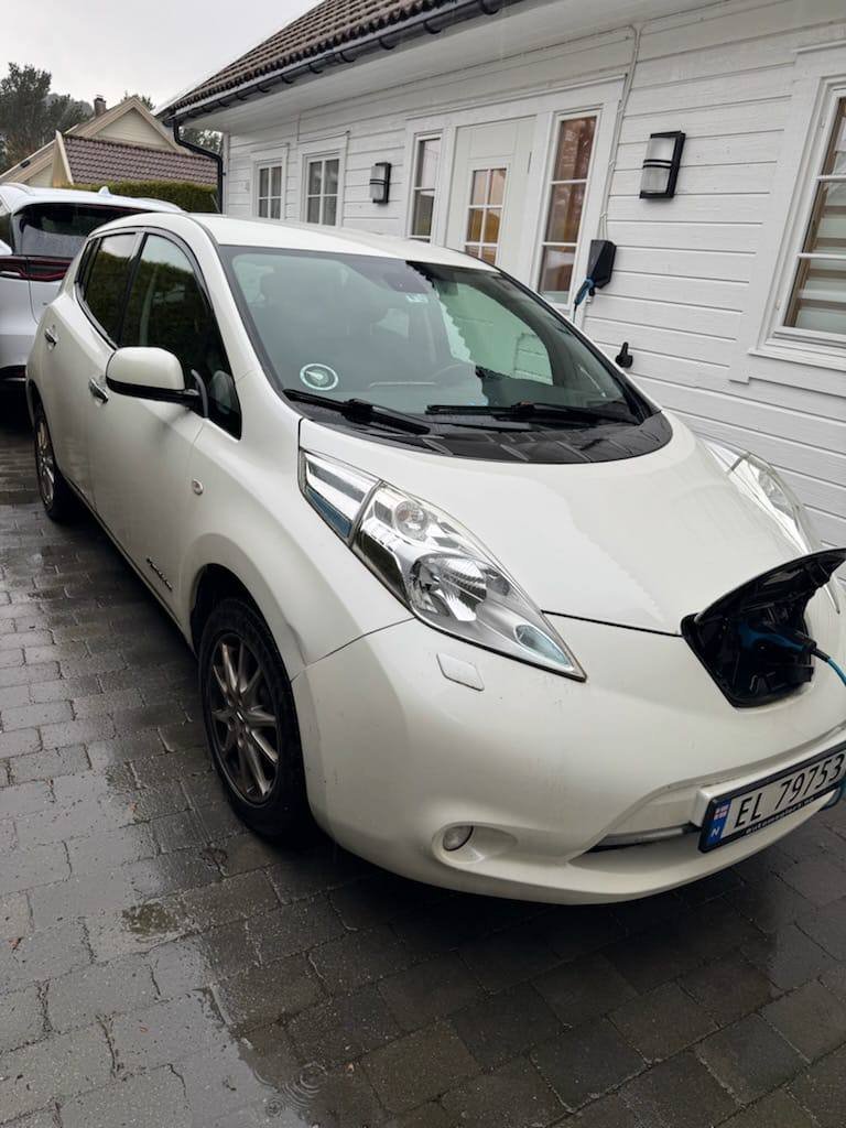 Фото - Nissan Leaf #6