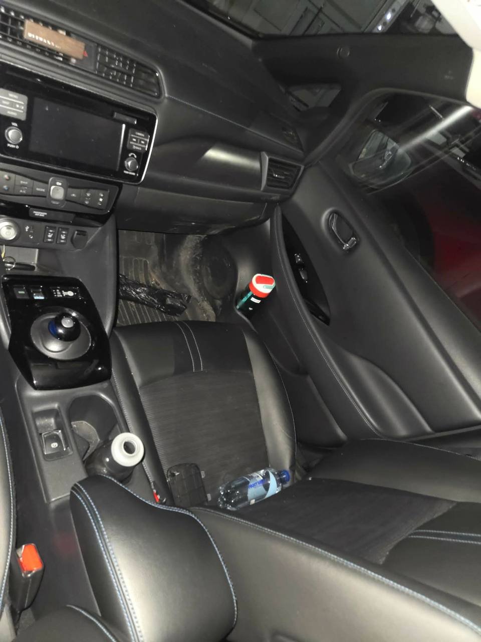 Фото - Nissan Leaf #6