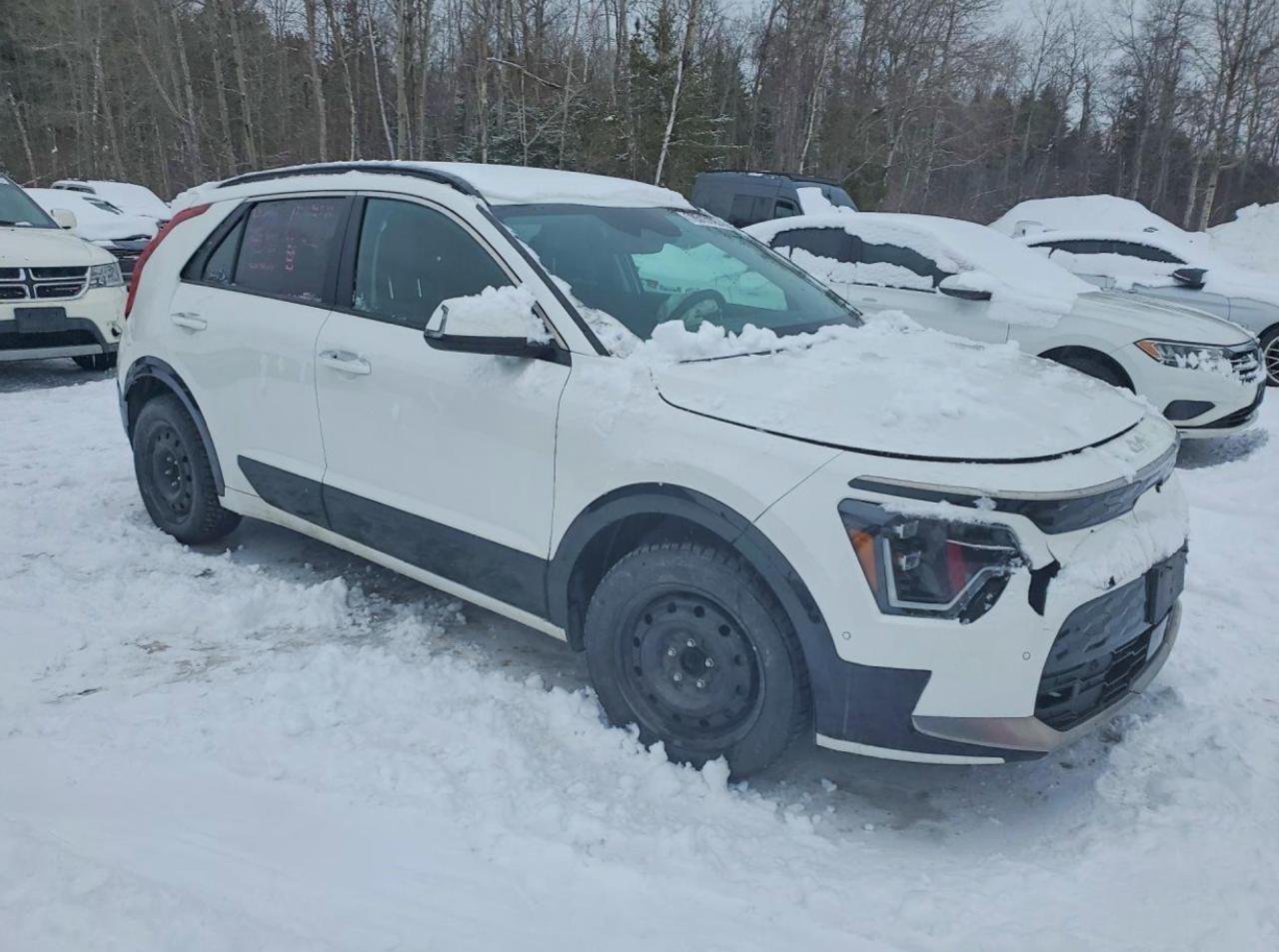 Фото - Kia Niro #3