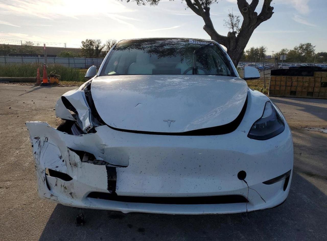 Фото - Tesla Model y #2