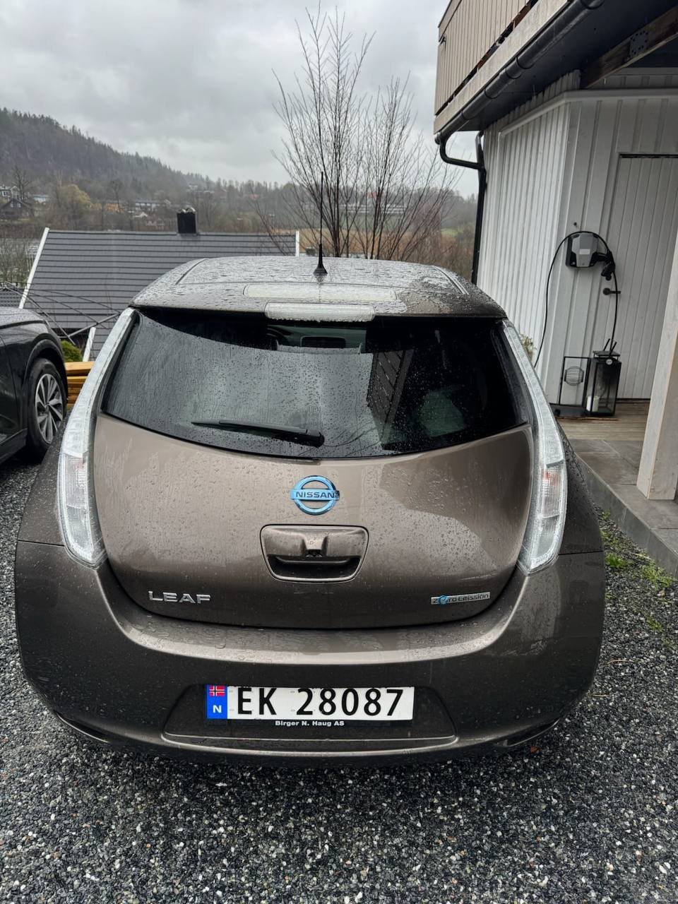Фото - Nissan Leaf #2