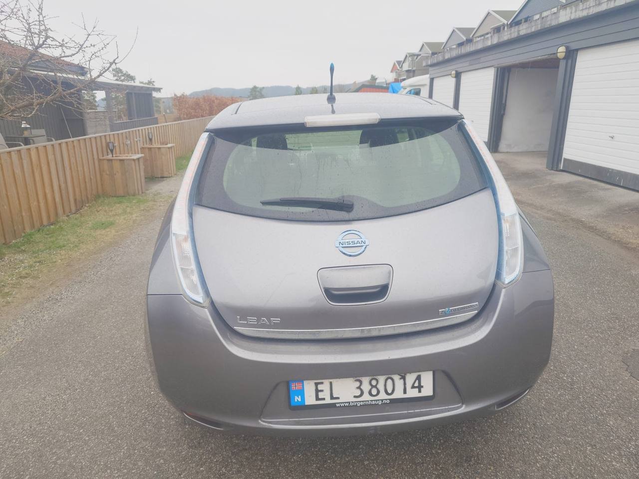 Фото - Nissan Leaf #2