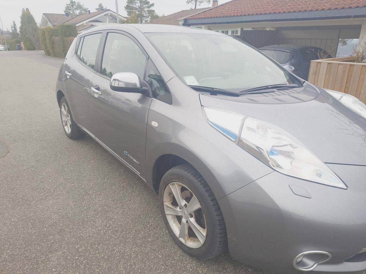 Фото - Nissan Leaf #3