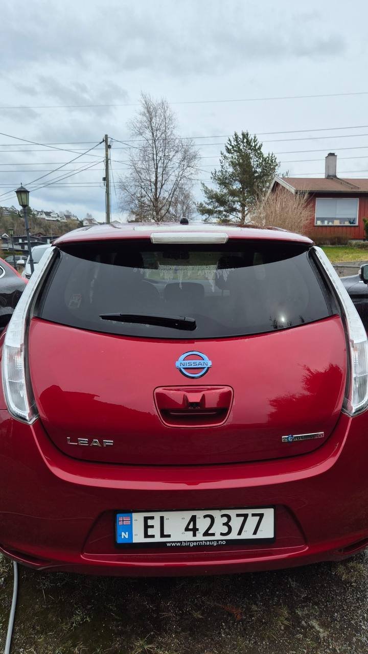 Фото - Nissan Leaf #2