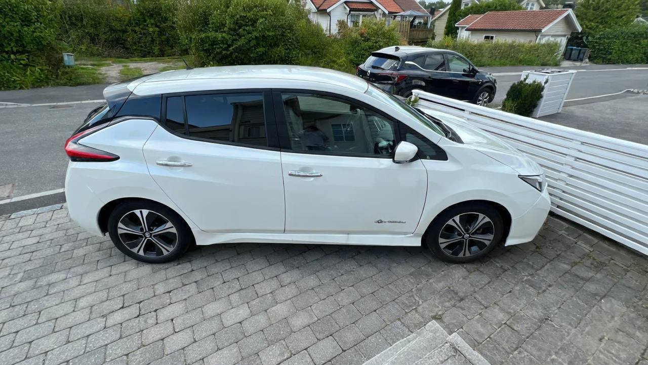 Фото - Nissan Leaf #2