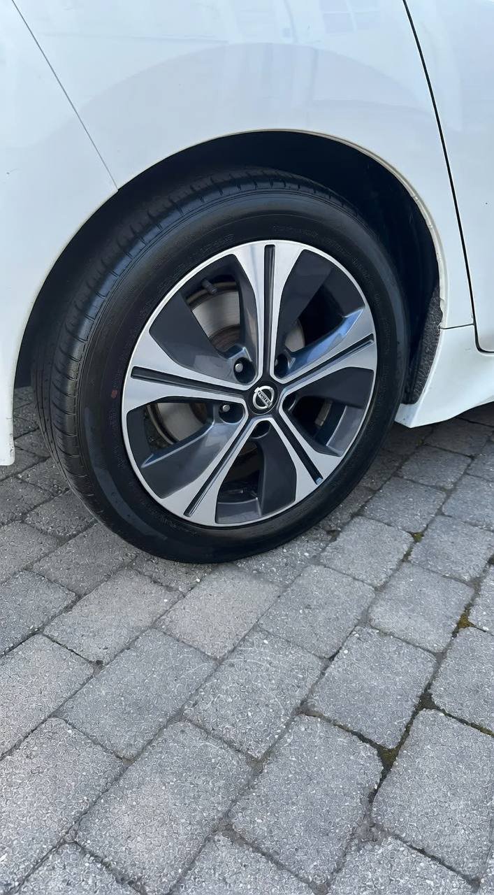 Фото - Nissan Leaf #3