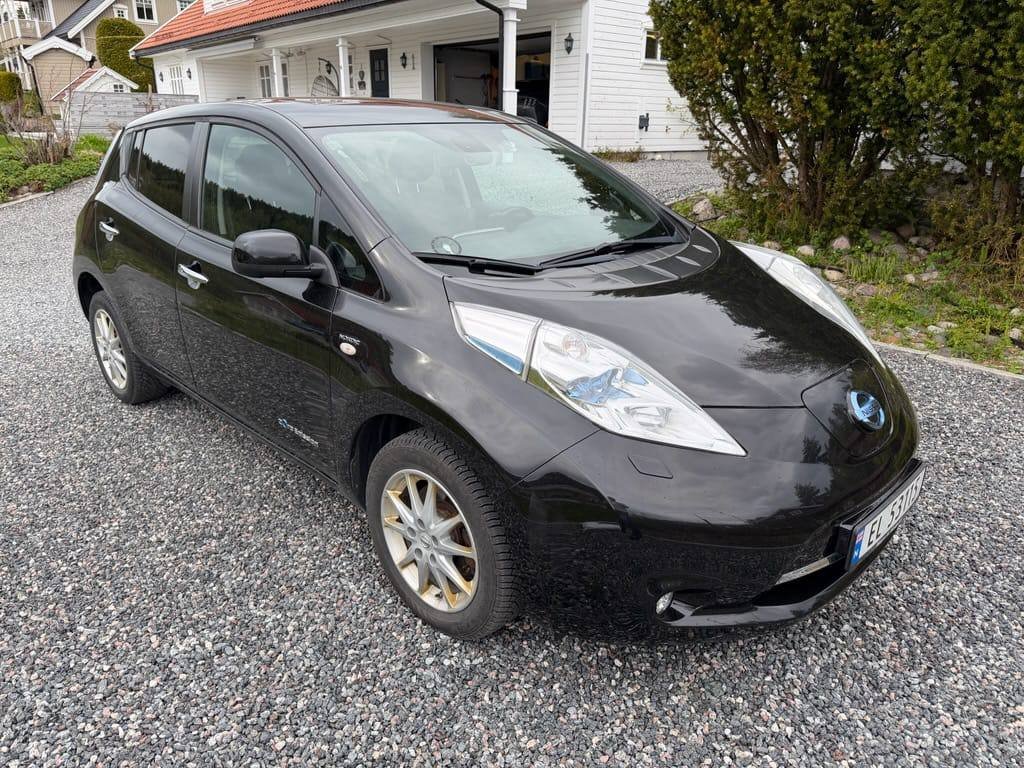 Фото - Nissan Leaf #2