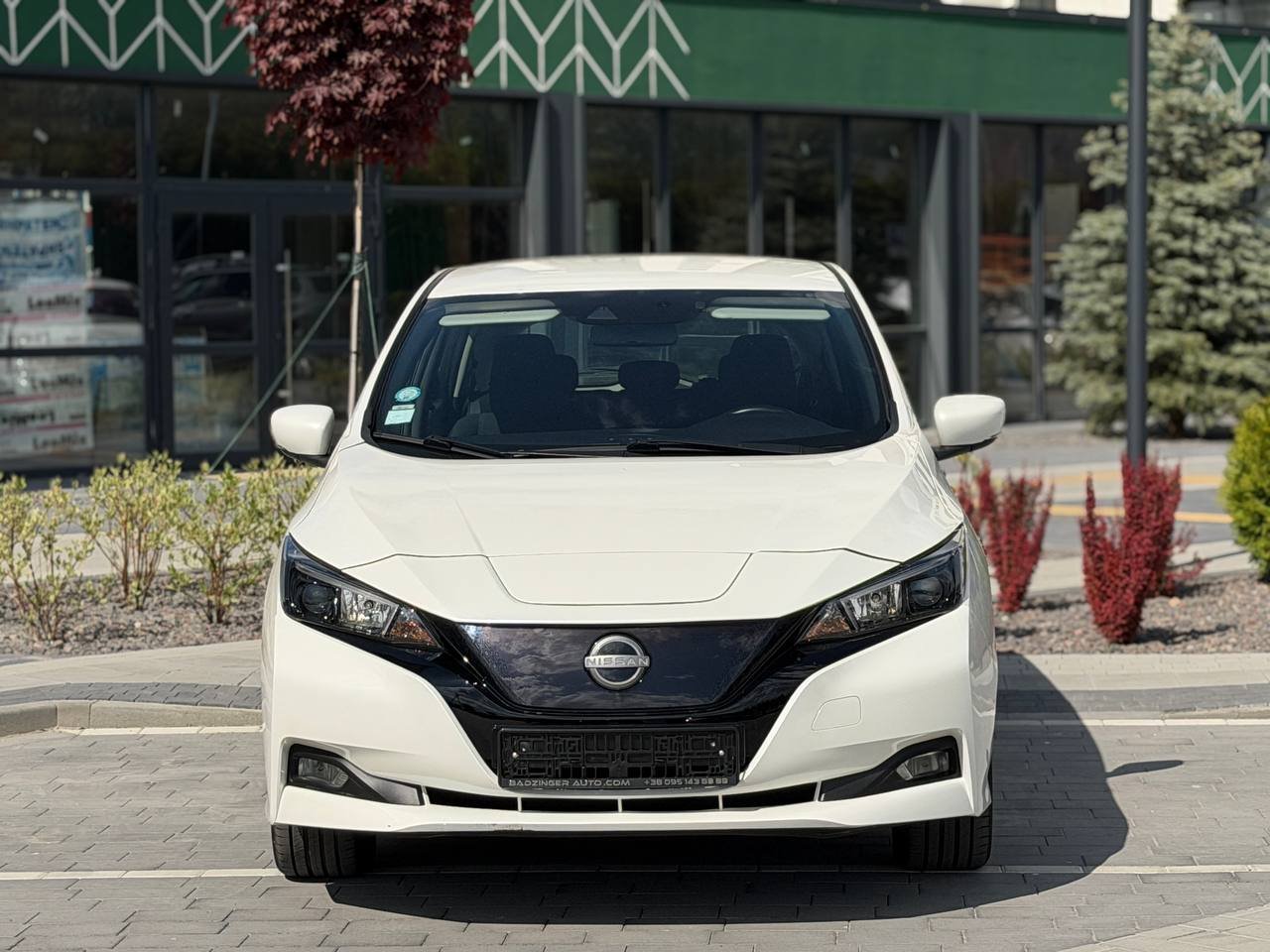 Фото - Nissan Leaf #2