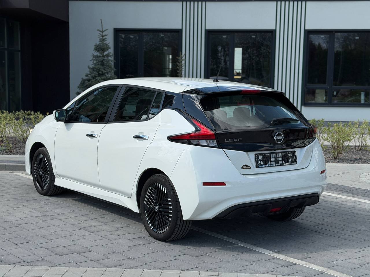 Фото - Nissan Leaf #4