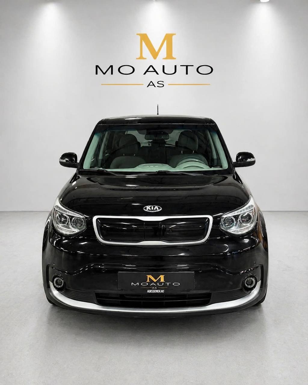 Фото - Kia Soul EV #2