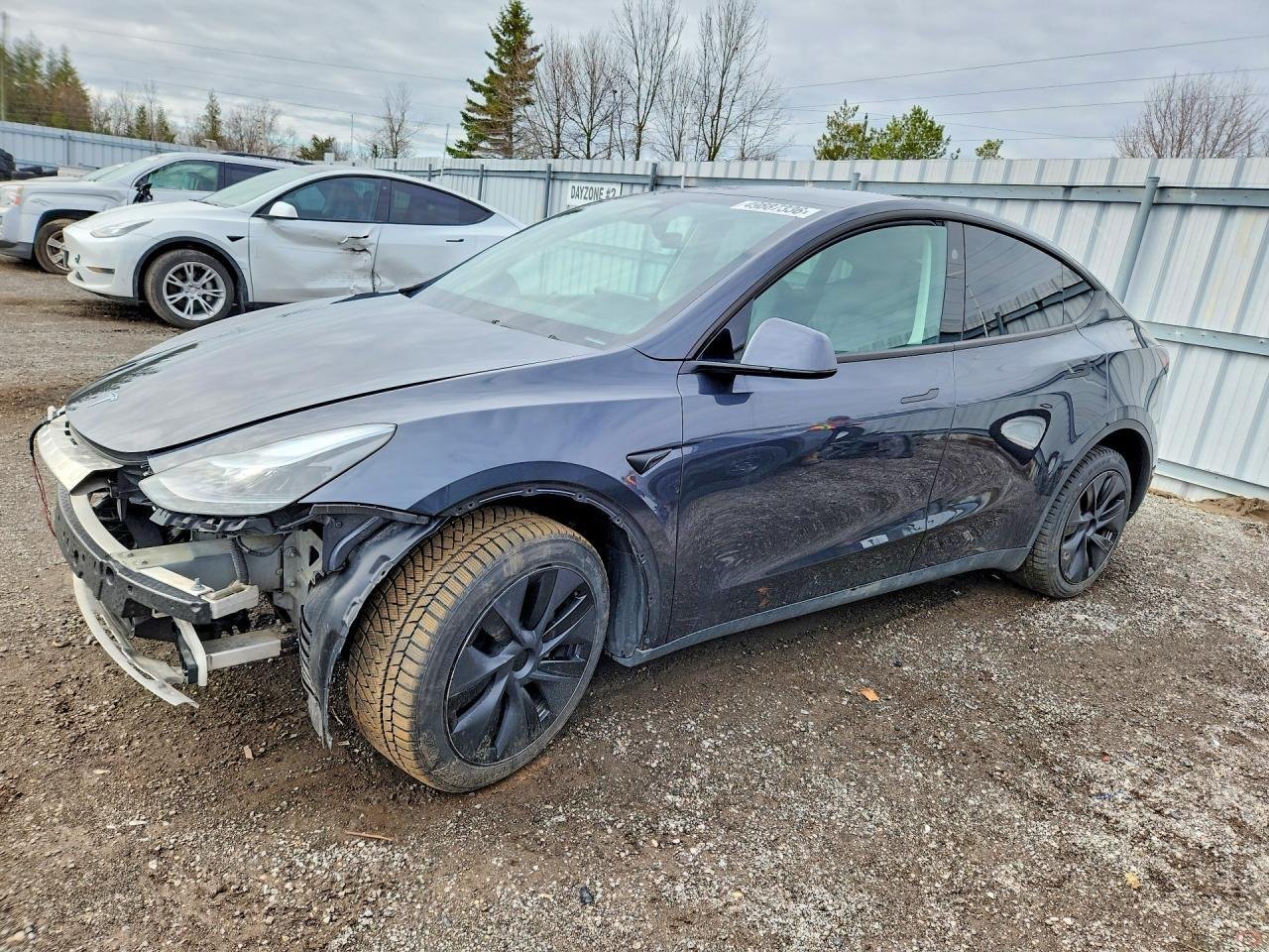 Tesla Model Y Long Range