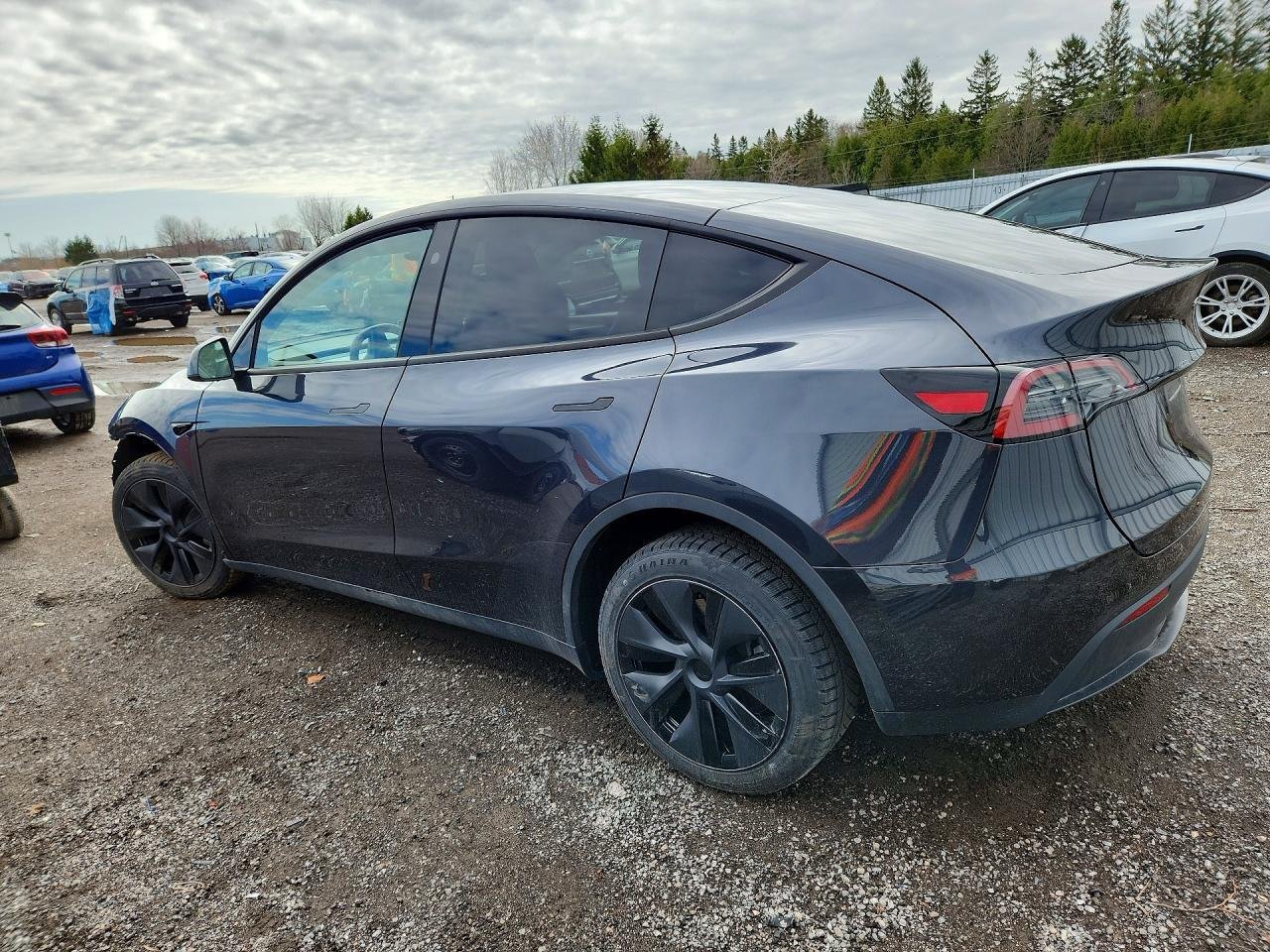 Фото - Tesla Model Y Long Range #3
