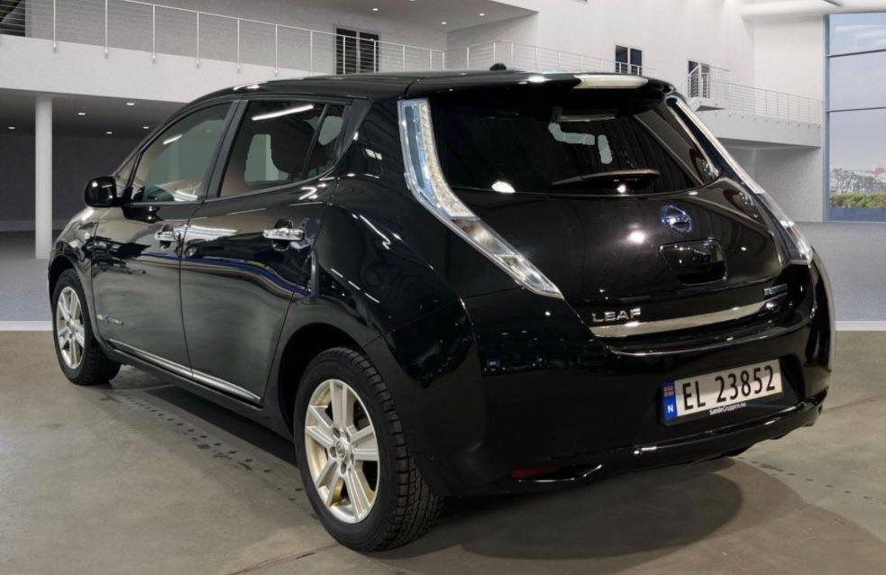 Фото - Nissan Leaf #2
