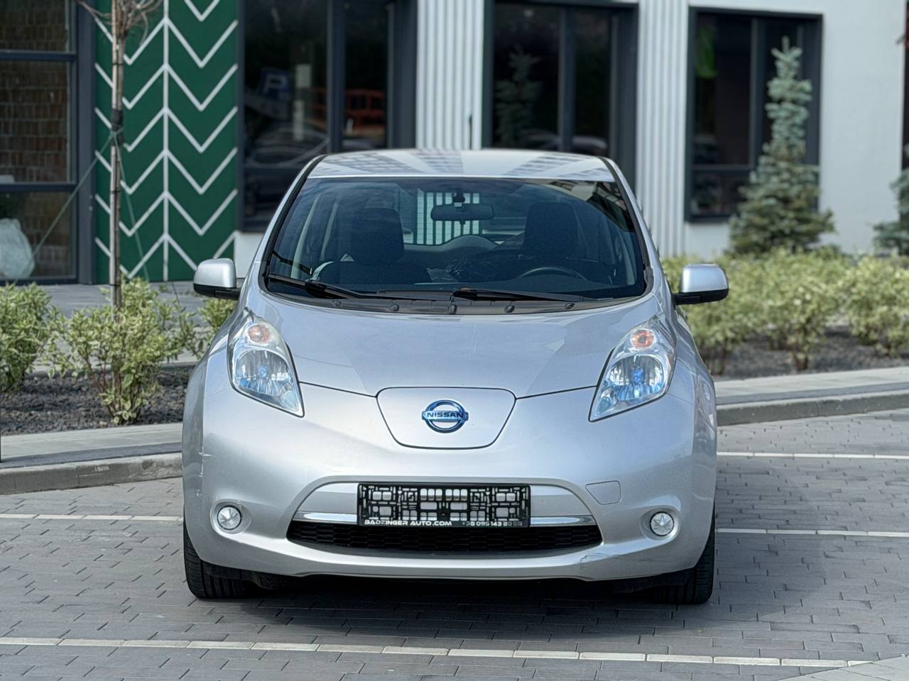 Фото - Nissan Leaf #2
