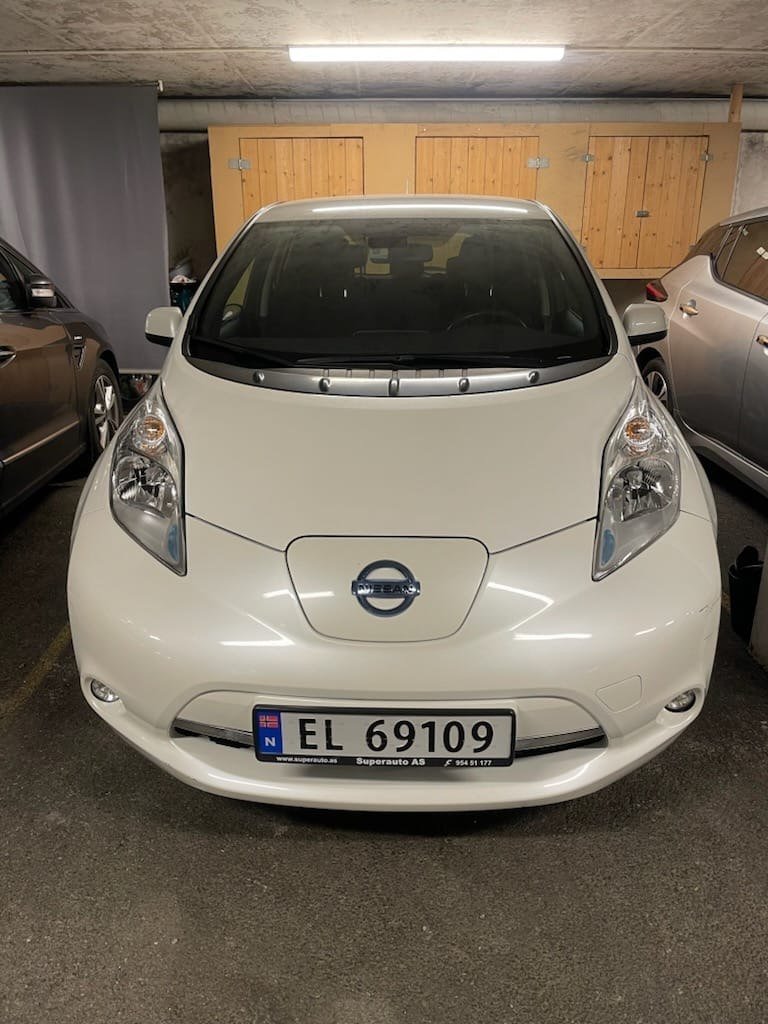 Фото - Nissan Leaf #2