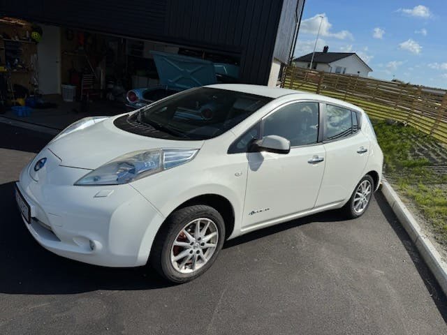Фото - Nissan Leaf #4