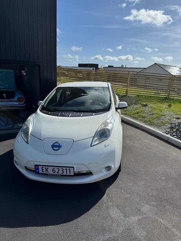 Фото - Nissan Leaf #2