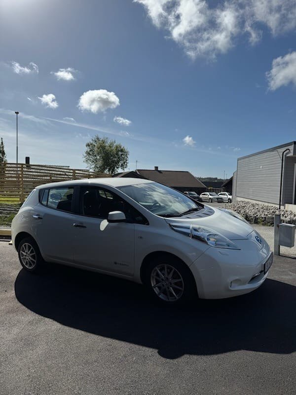Фото - Nissan Leaf #3