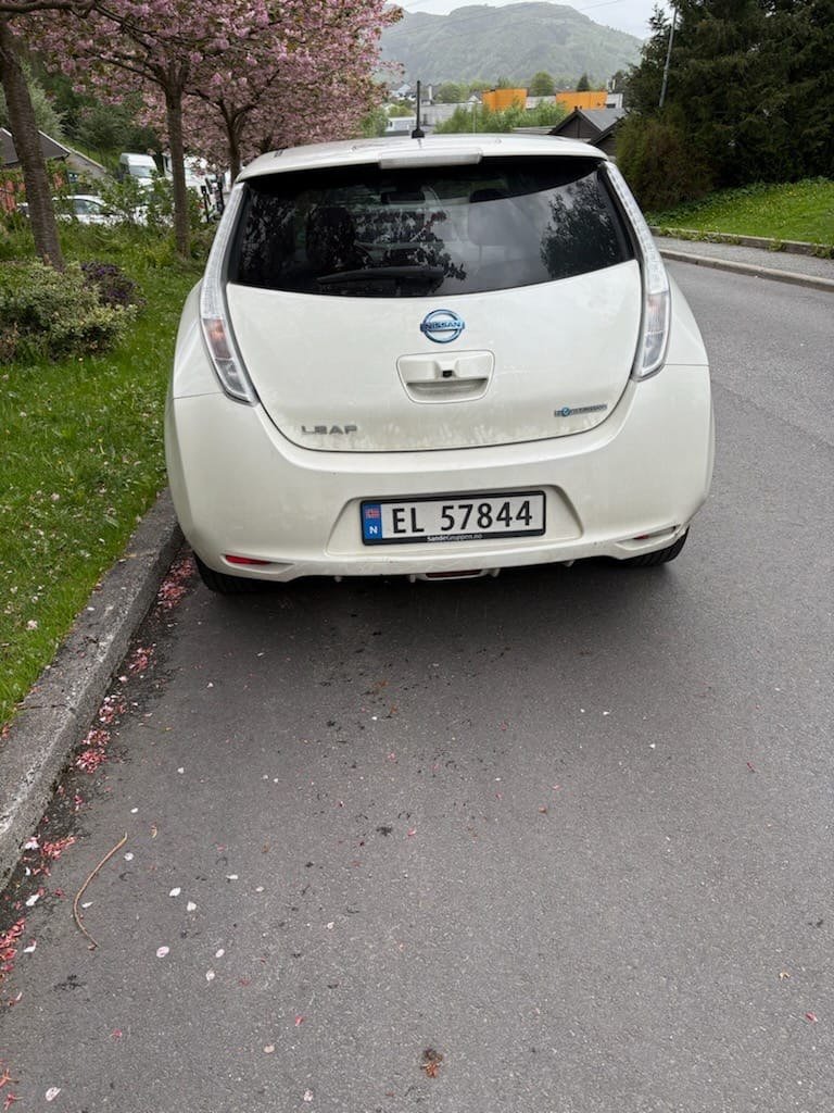 Фото - Nissan Leaf #2