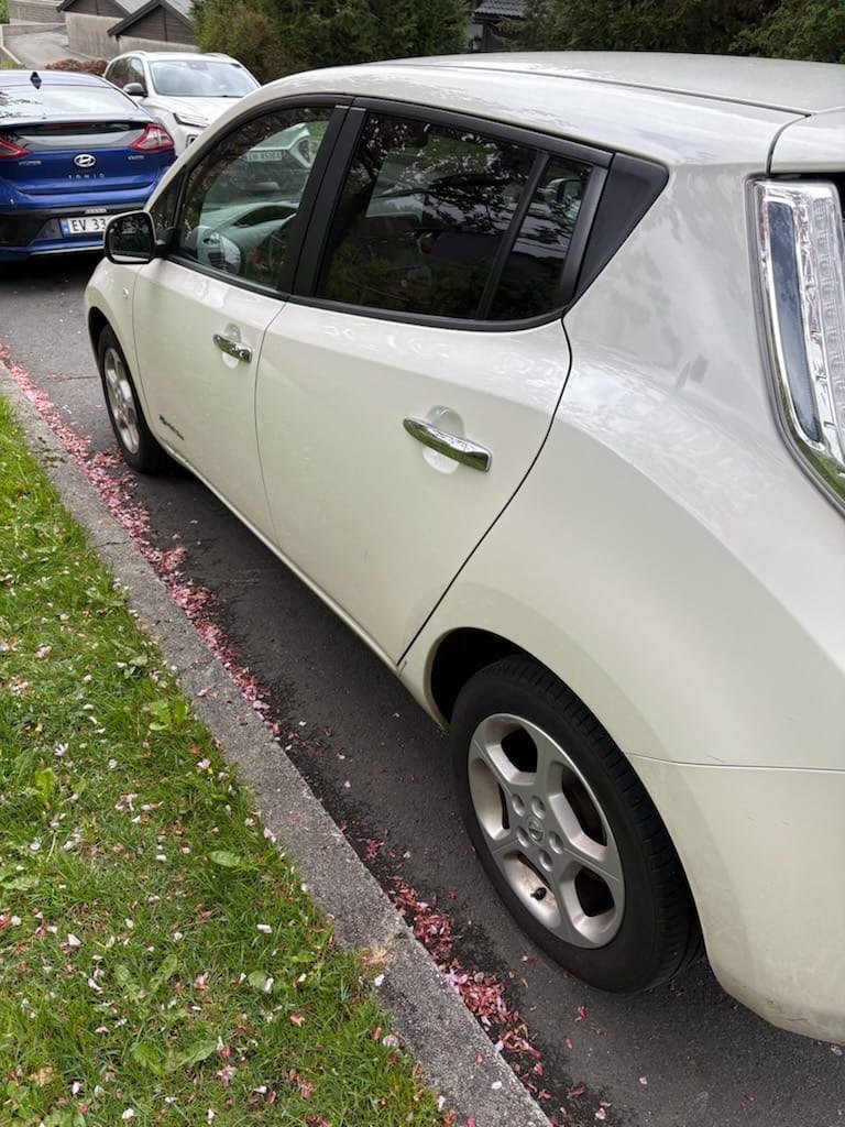 Фото - Nissan Leaf #3