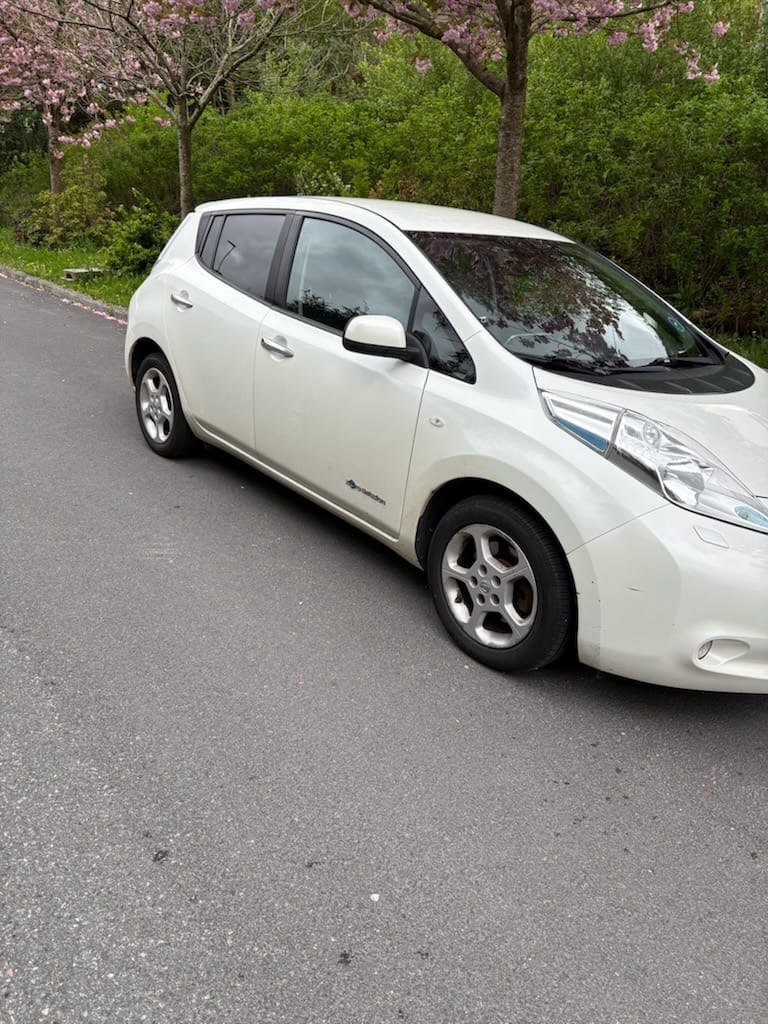 Фото - Nissan Leaf #5